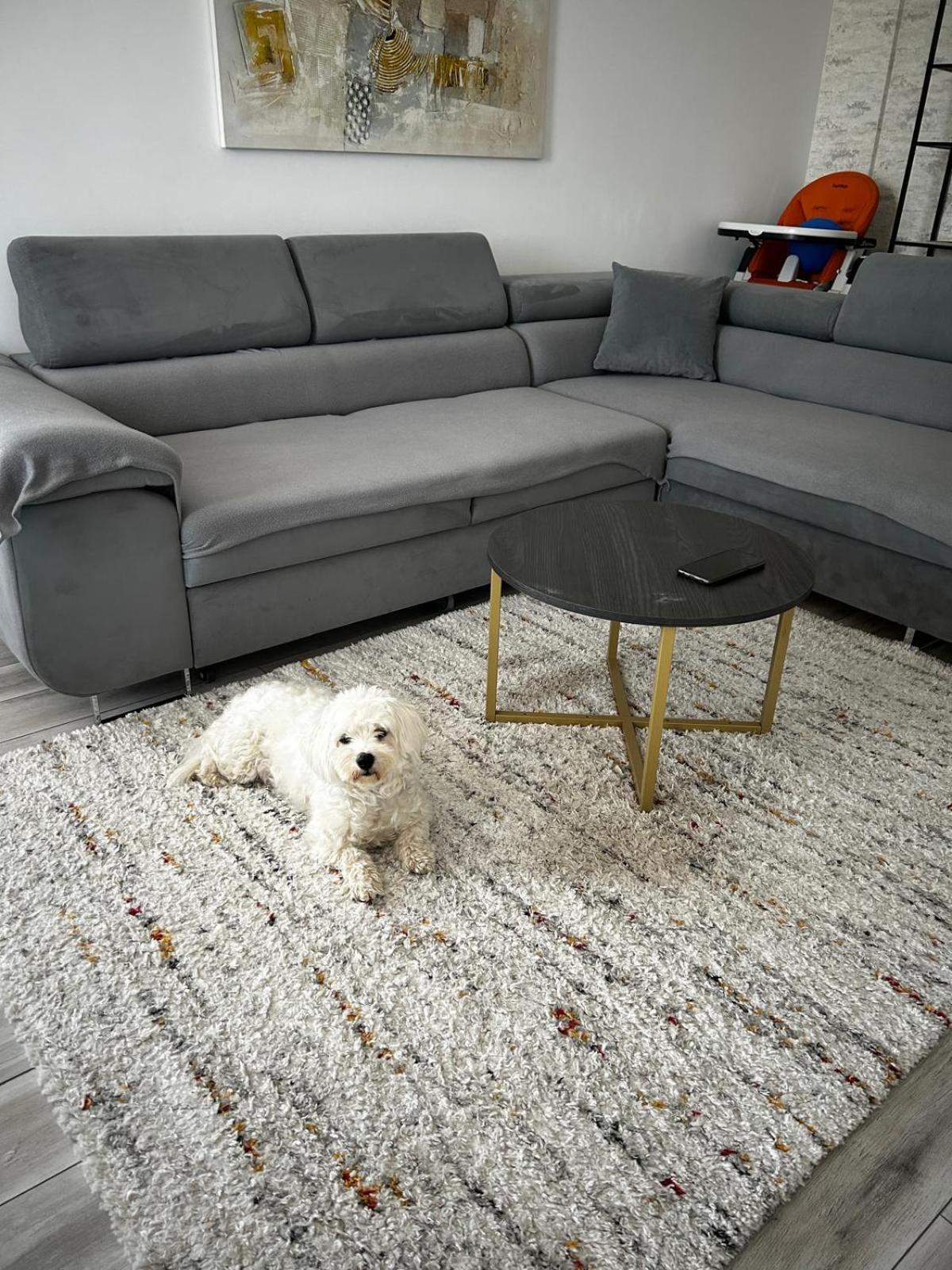 בראשוב Mabu Apartment מראה חיצוני תמונה